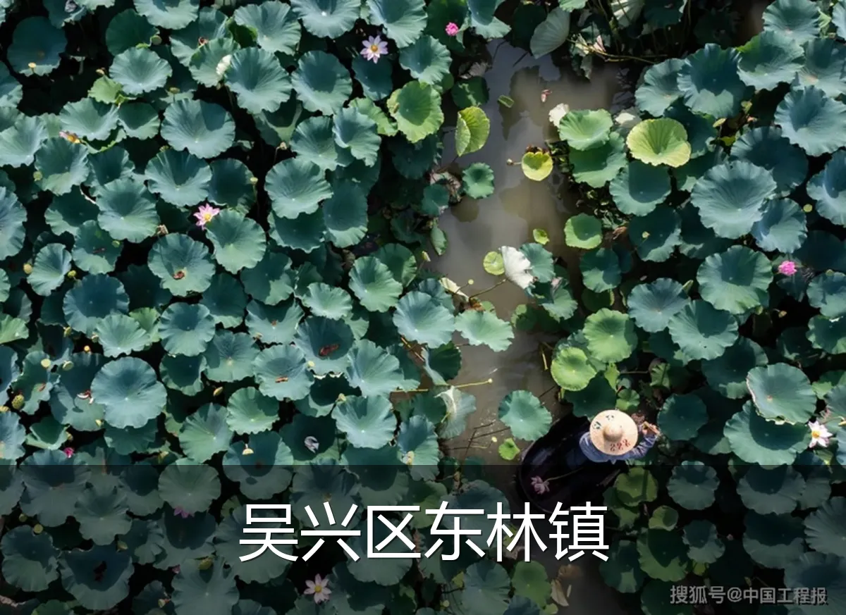 吴兴区东林镇