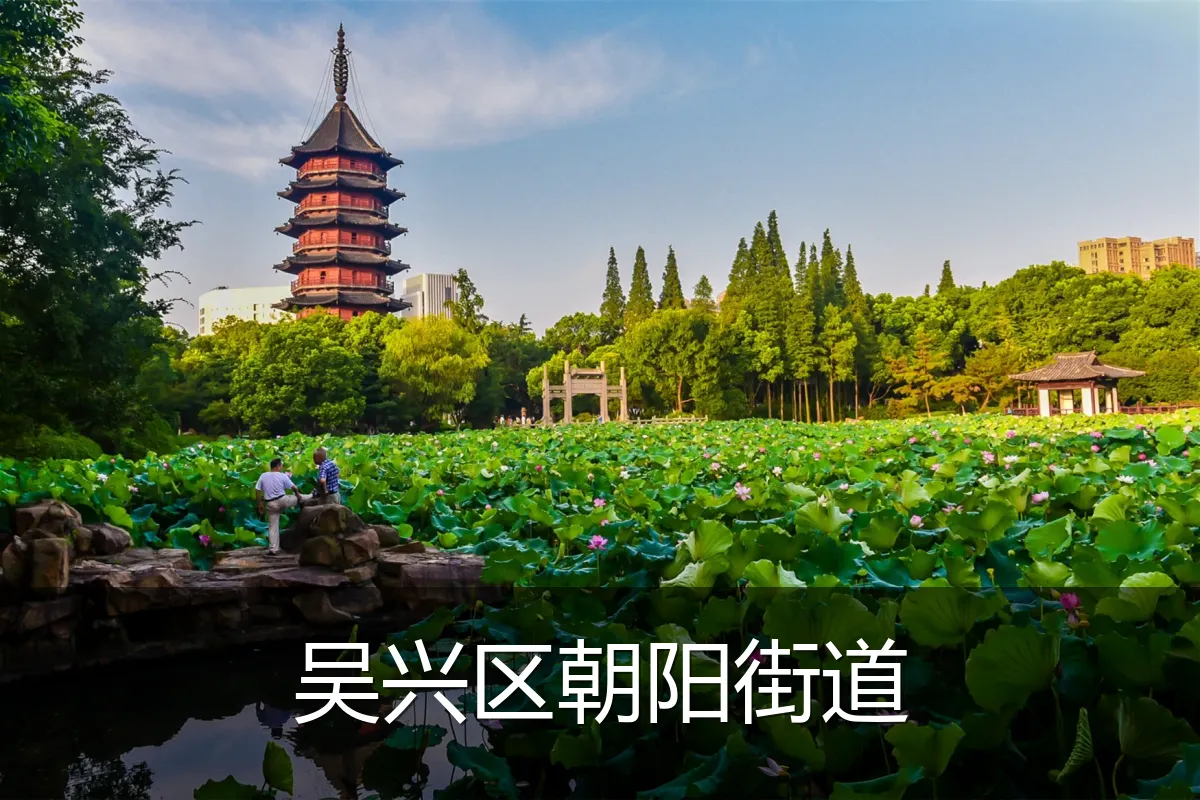 吴兴区朝阳街道