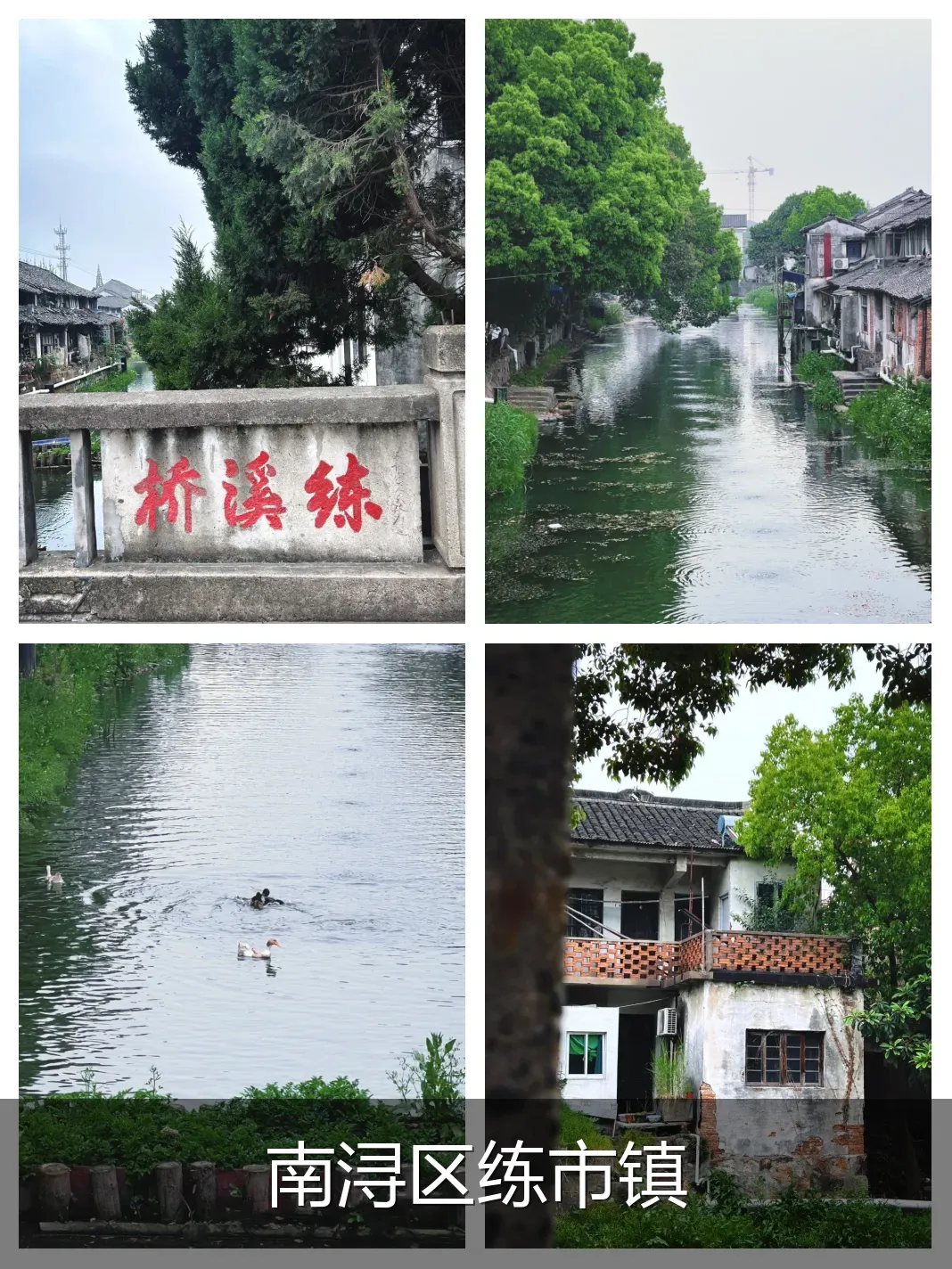 南浔区练市镇