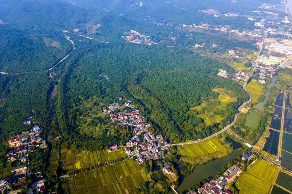 吴兴区吴兴区移动宽带